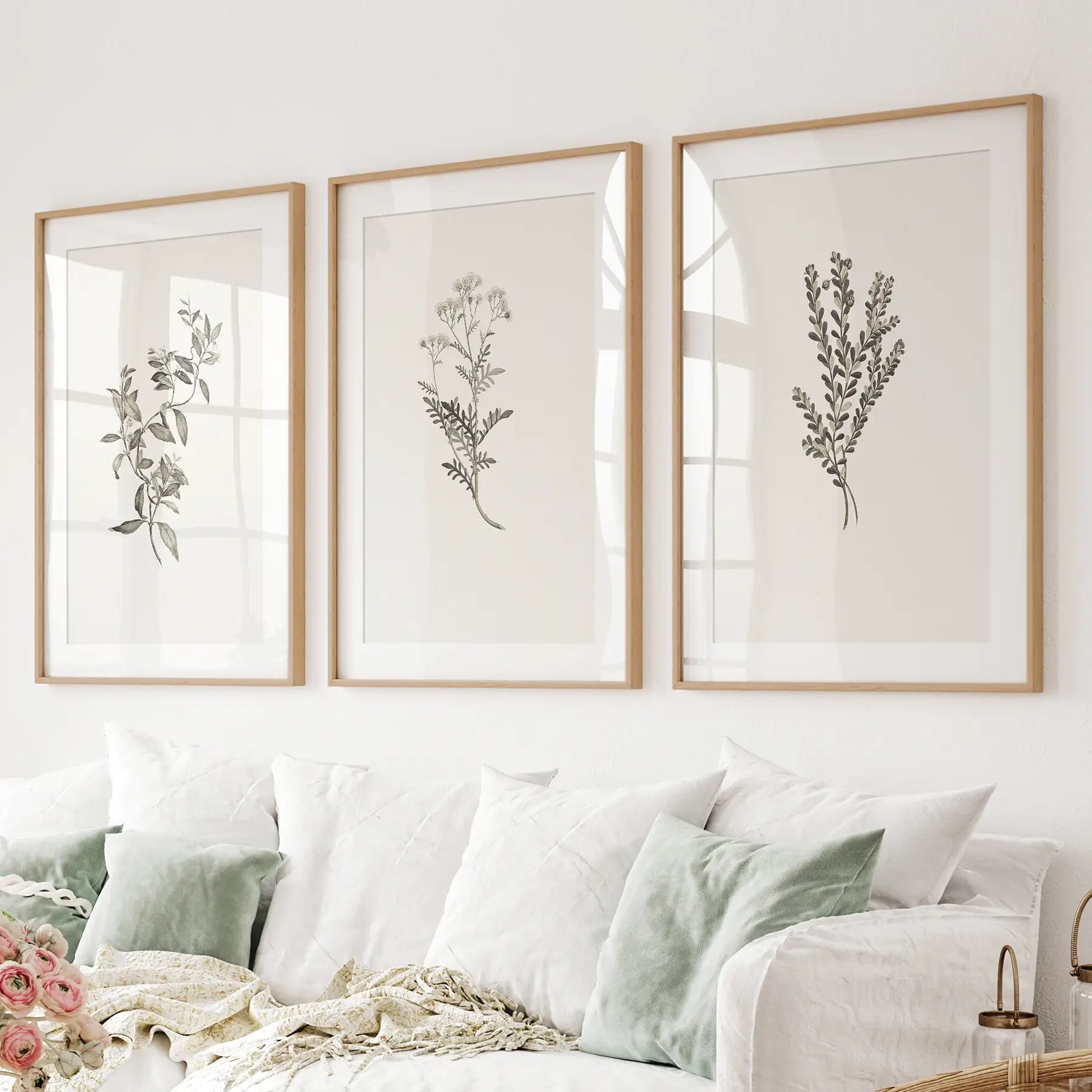 Botanical Wall Art Set — Sydney Parkinson
