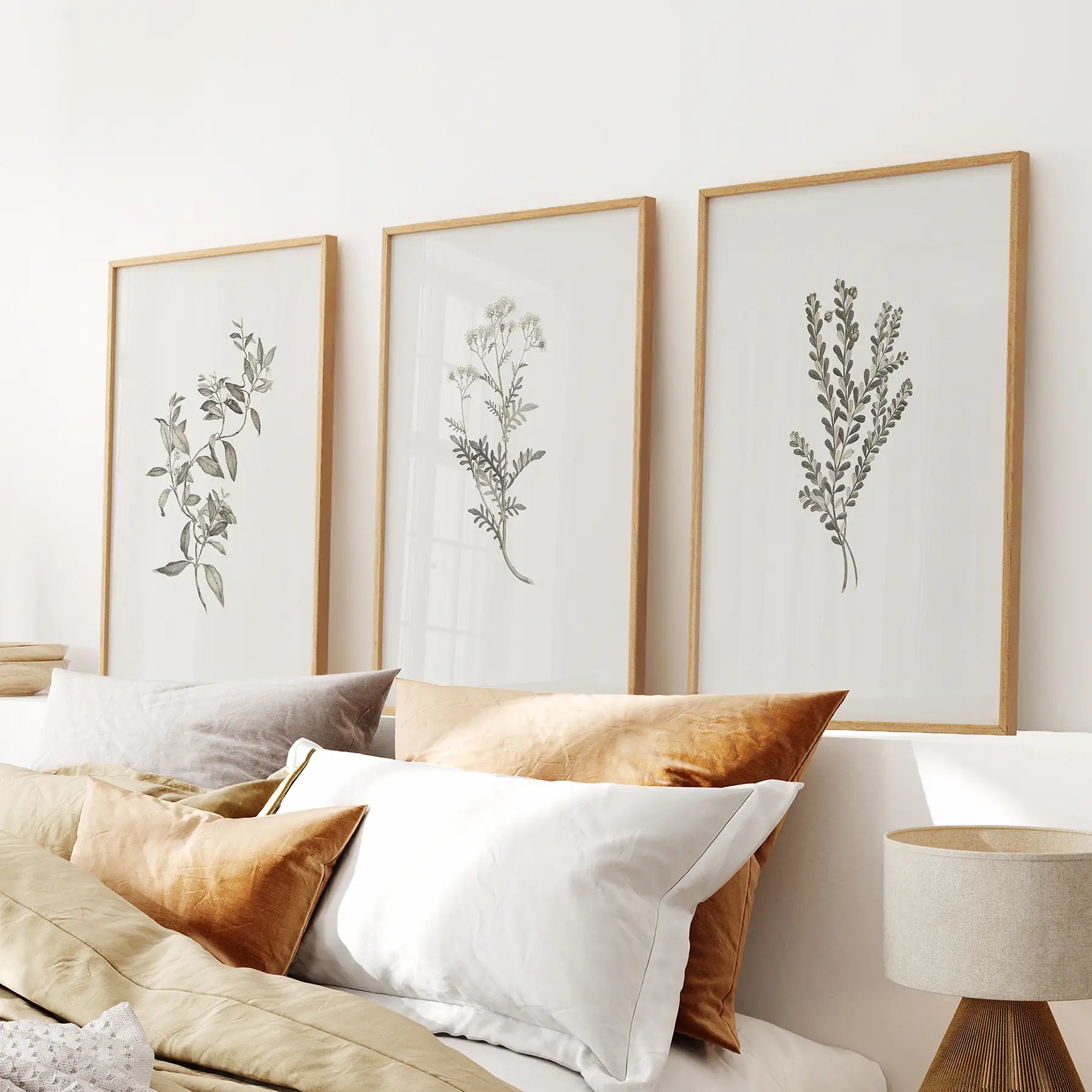 Botanical Wall Art Set — Sydney Parkinson