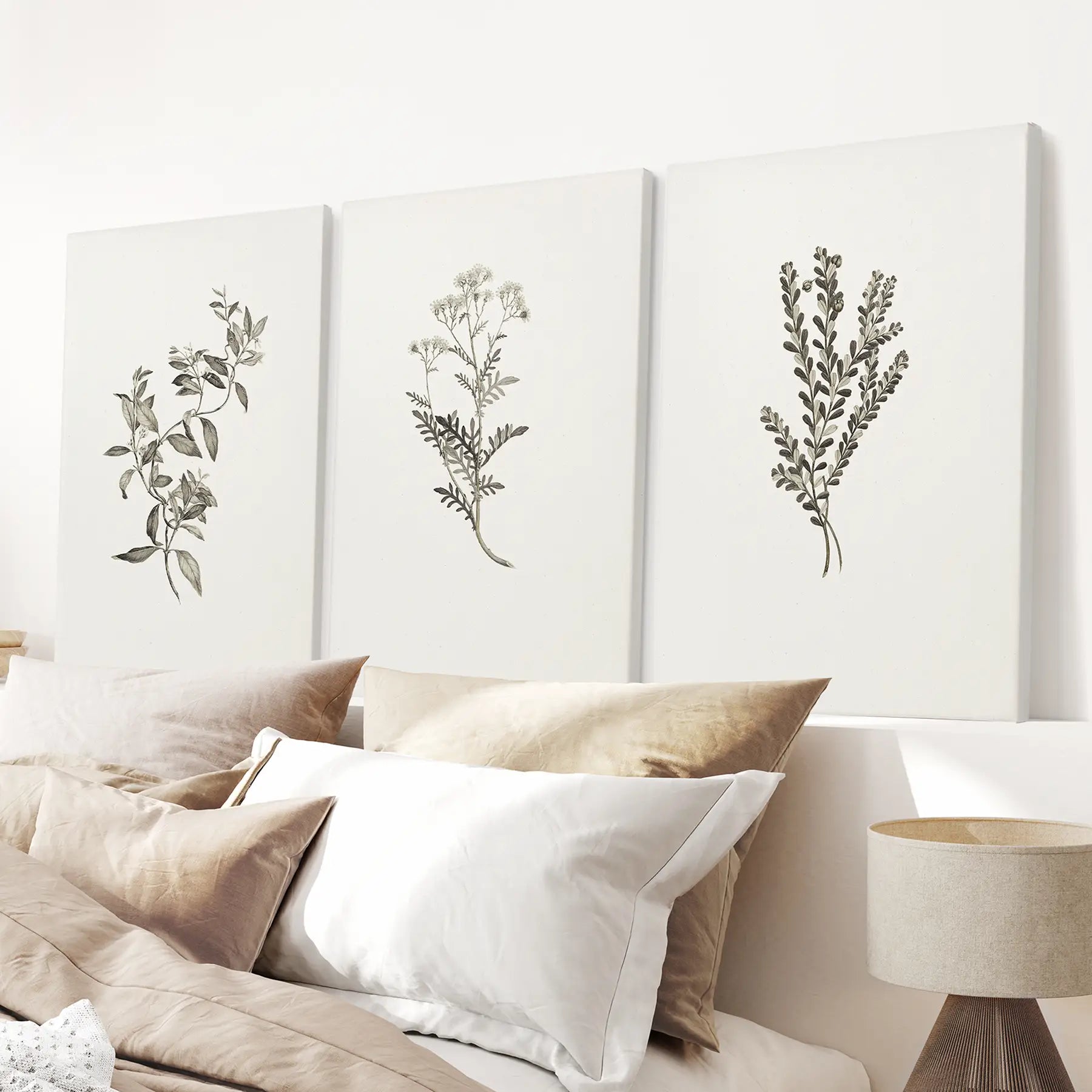 Botanical Wall Art Set — Sydney Parkinson